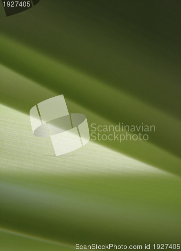 Image of Abstract 3d green background