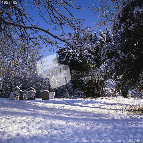 Image of Snowy cemetry in winter sunlight