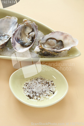 Image of Oysters Natural