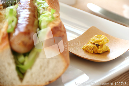 Image of Hot Dog With Mustard