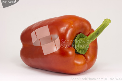 Image of Bright red pepper