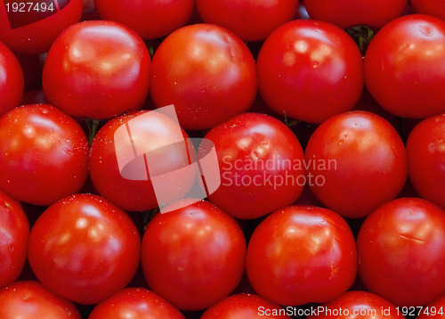 Image of Many tomatoes.
