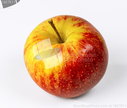Image of Red apple 