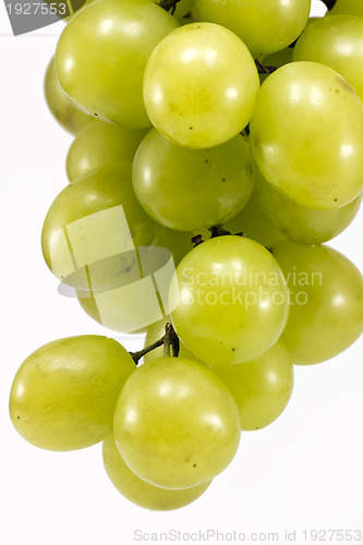Image of Muscat grapes