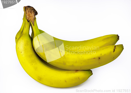 Image of bananas, isolated on white