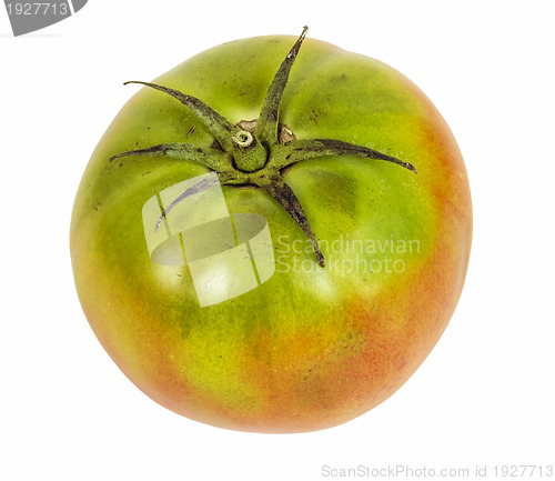 Image of green tomato