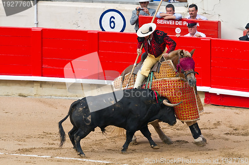 Image of Picador cavalry bulls