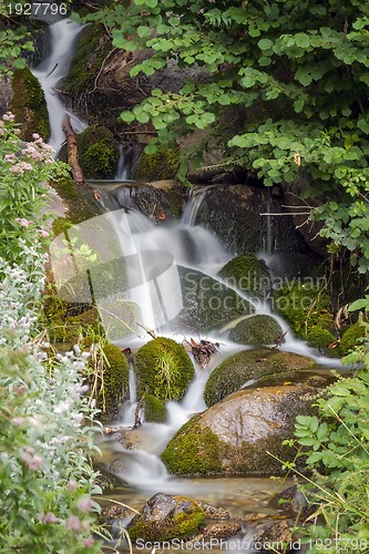 Image of Aiguestortes  National Park