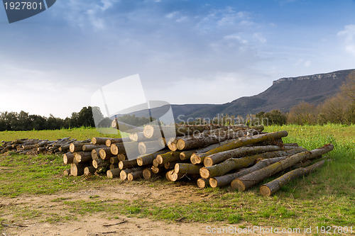 Image of Rural Scene