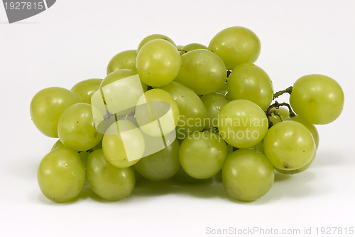 Image of Muscat grapes