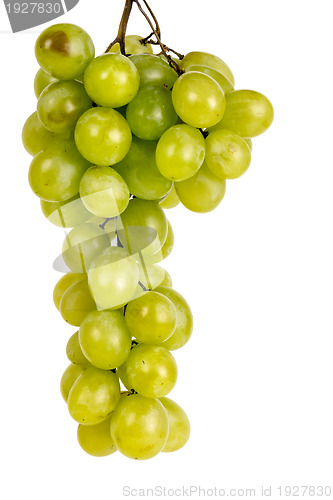 Image of bunch of green grapes Muscat