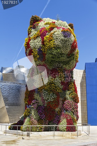 Image of The giant floral sculpture Puppy in Guggenheim Museum