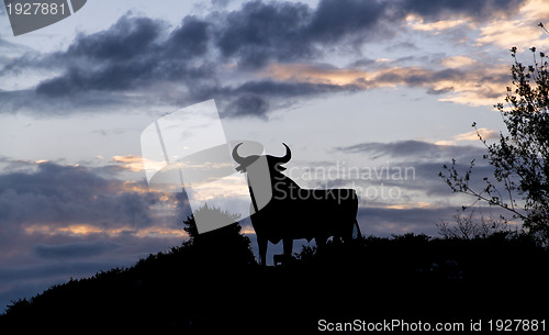 Image of silhouette of a bull
