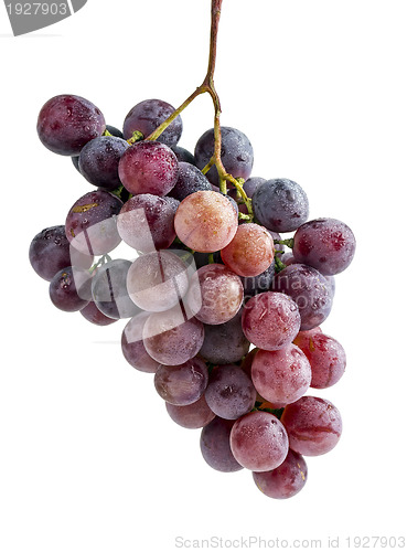 Image of red grapes