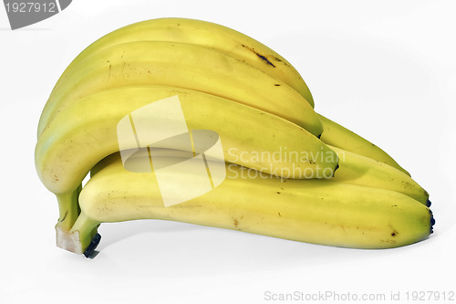 Image of Ripe bananas