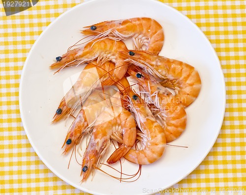 Image of delicious fresh cooked shrimp prepared to eat