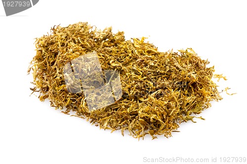 Image of Tobacco