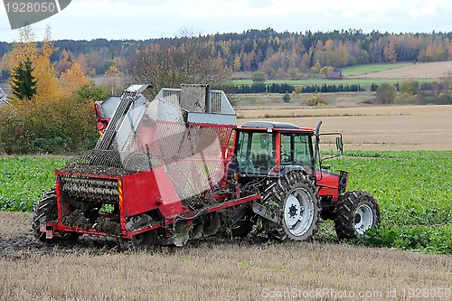 Image of Sugar Beet Harvester