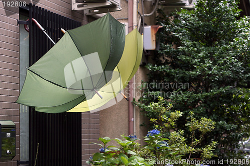 Image of Umbrellas