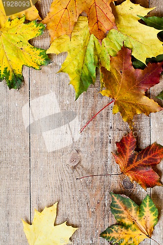 Image of autumn leaves over wooden background 