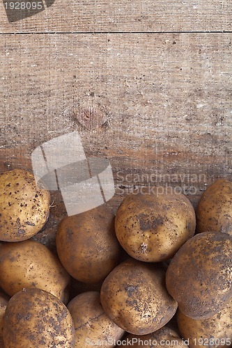 Image of organic potatoes 