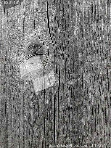 Image of Wooden texture