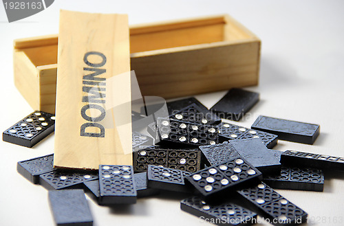 Image of Domino