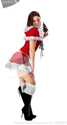 Image of Sexy Santa girl