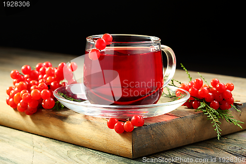 Image of Cup of tea and viburnum berries.