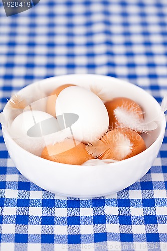 Image of eggs and feathers in a bowl 