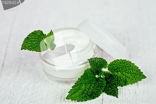 Image of face cream in glass jar with green leaf of urtica 