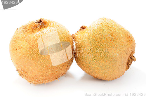 Image of Kiwi fruits