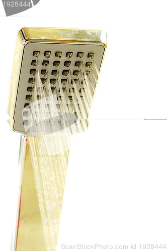 Image of Shower nozzle