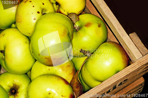 Image of apples