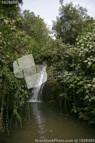 Image of Waterfall in Israeli galilee