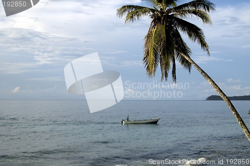 Image of TROPICAL SEA VIEW