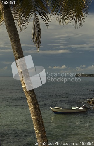 Image of TROPICAL SEA VIEW