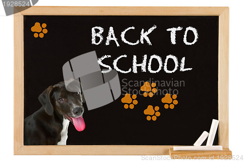 Image of Back to school