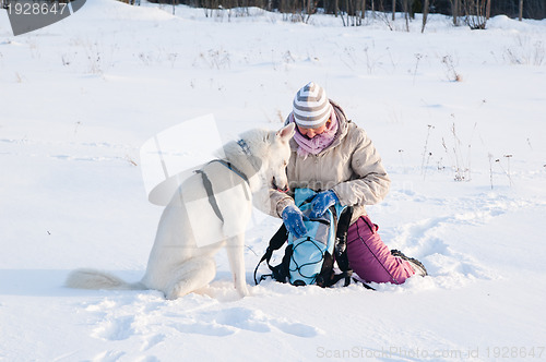 Image of The woman with a dog in winter on walk