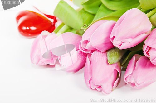 Image of Pink tulips, it is isolated on white
