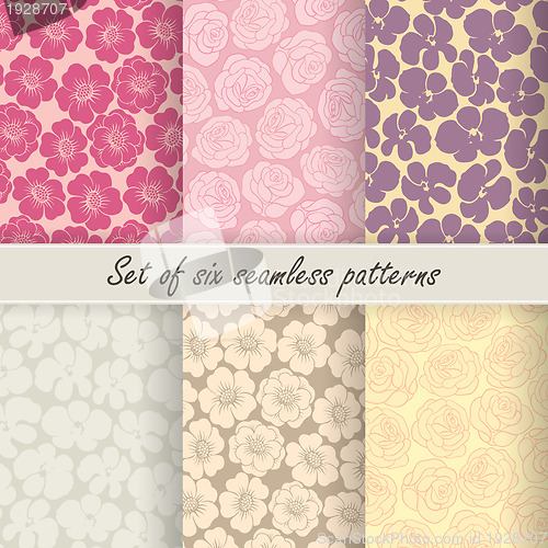 Image of Set of six vector seamless flower patterns