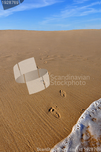 Image of Footprints Going Out of Ocean