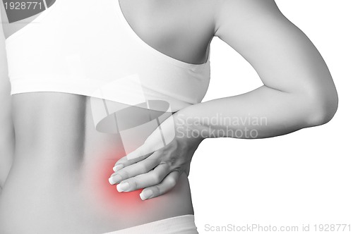 Image of Back Pain