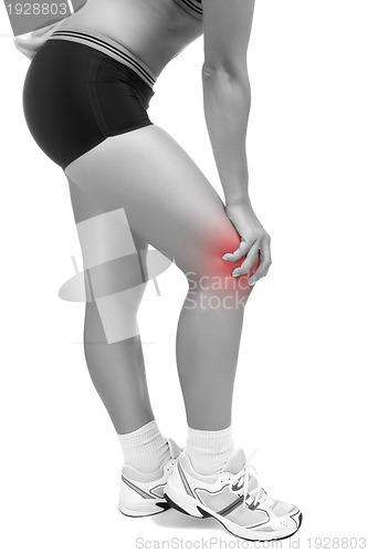 Image of Knee Pain