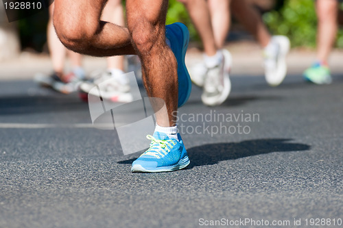 Image of Marathon Racers