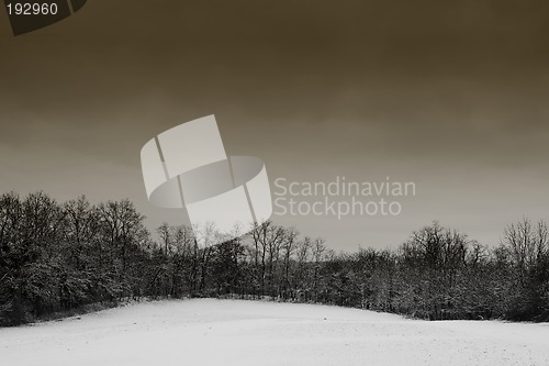 Image of Snow Landscape #1