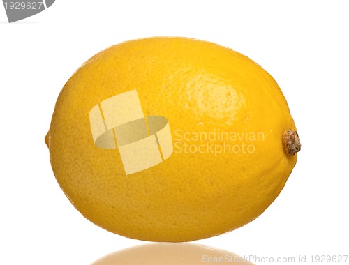 Image of Fresh lemon