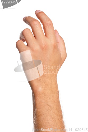 Image of Man hand