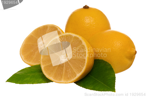 Image of Fresh lemon