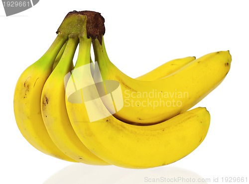 Image of Ripe bananas